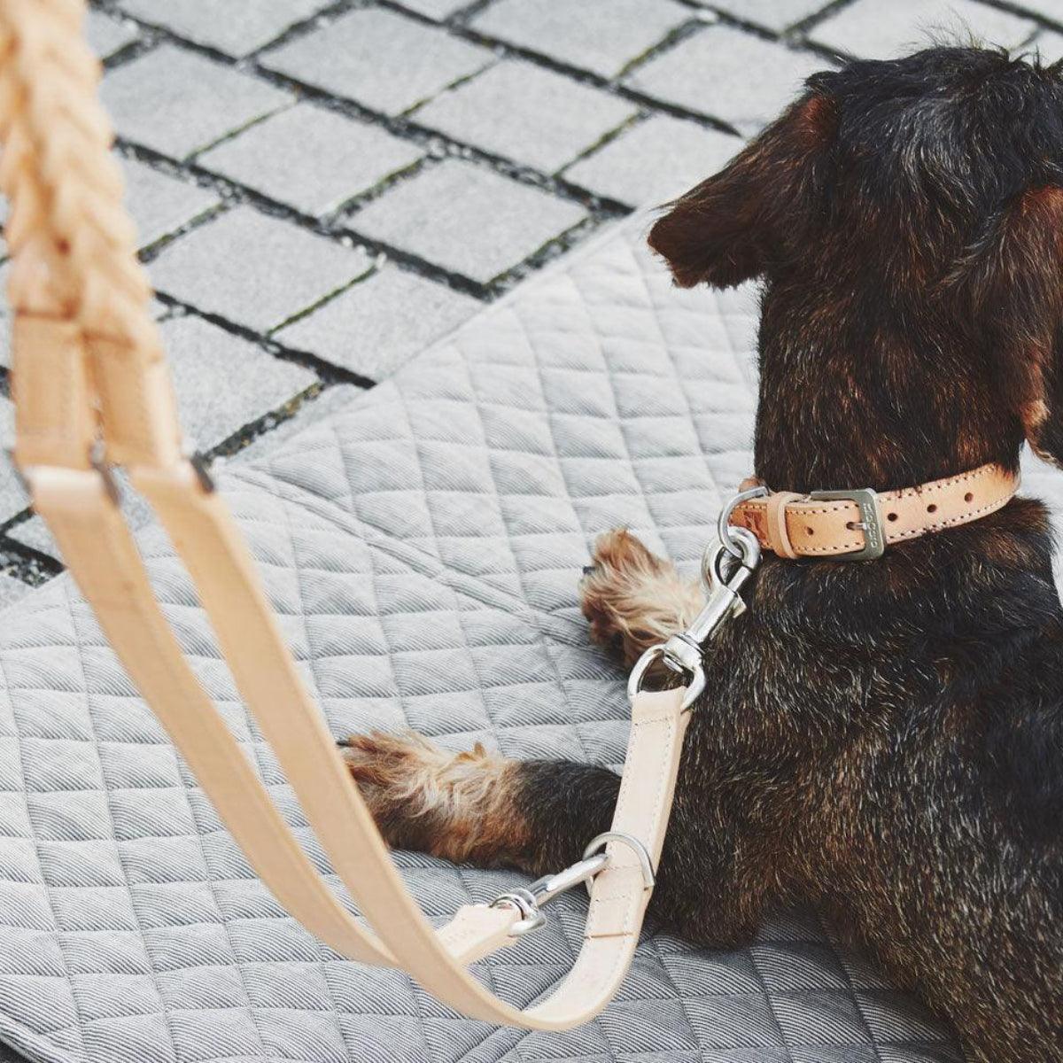 Laisse pour chien en cuir lisse et tressé - BERGAMO TRESSéE - Kasibe