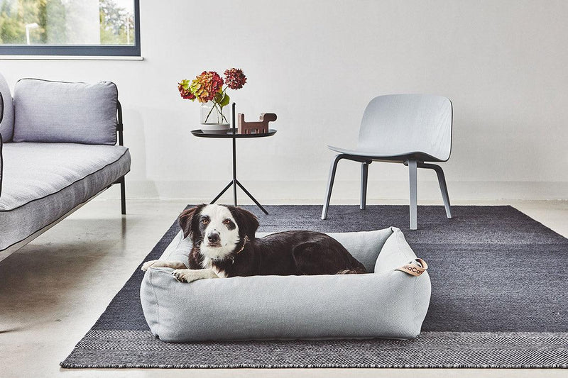 Lit box pour chien en tissu Sonno au design minimaliste - kasibe