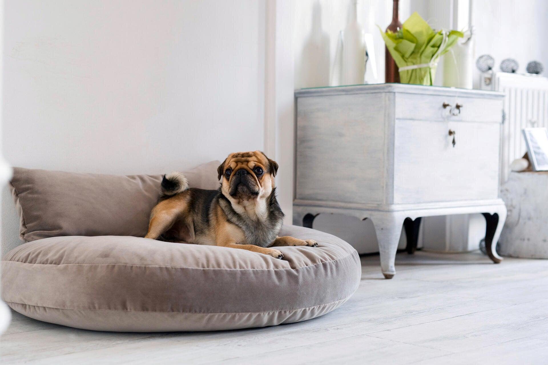 Luna : un lit design pour chien et ultra confort - Finition Oxford  - kasibe