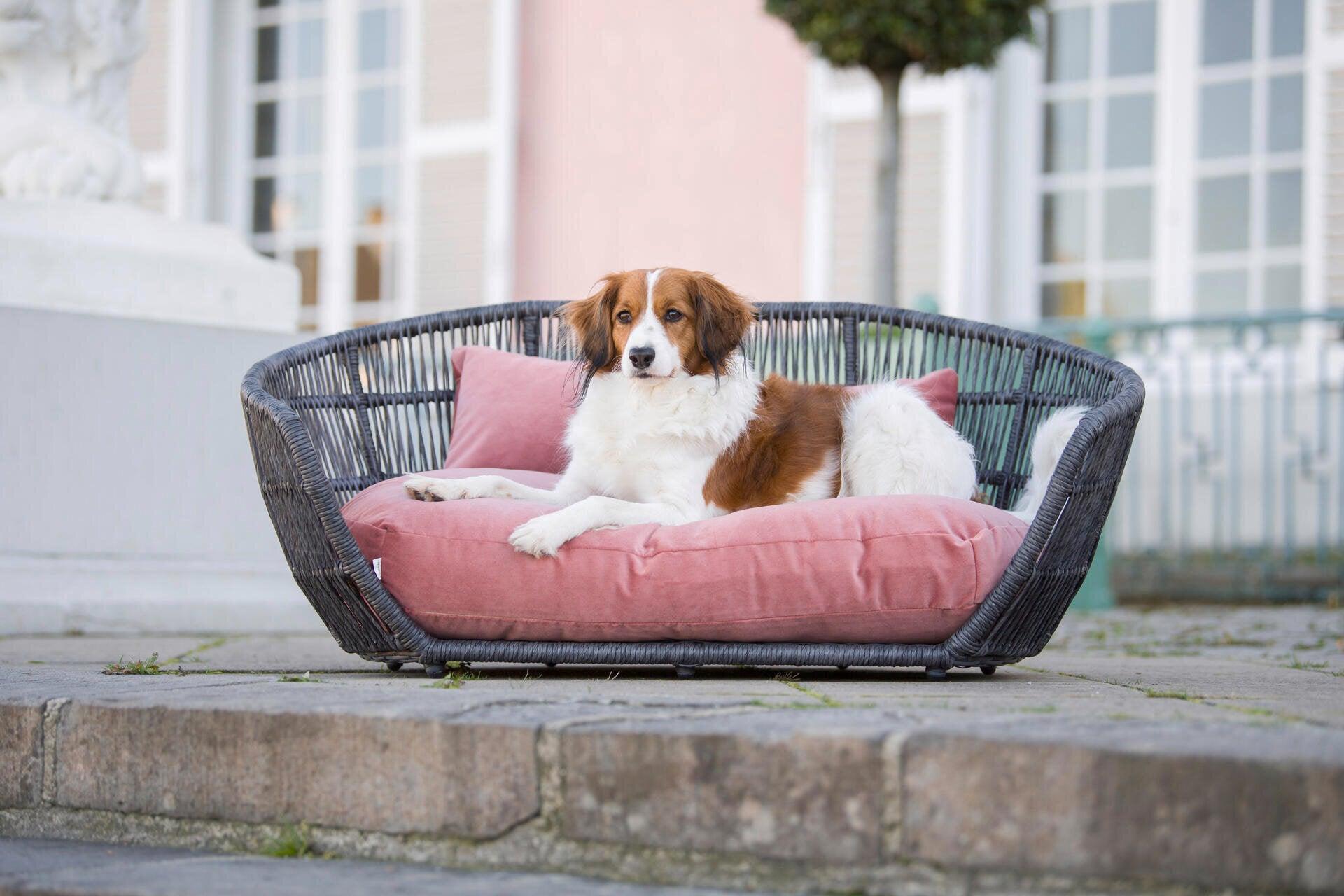 Lit pour chien design - LUNA OXFORD - Kasibe