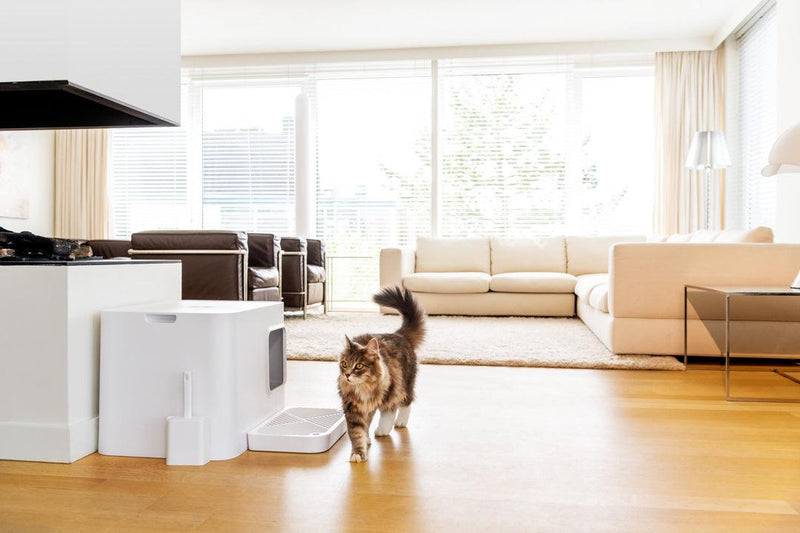 Litière pour chat design : Dôme Hoopo moderne et chic kasibe blanc dôme plus
