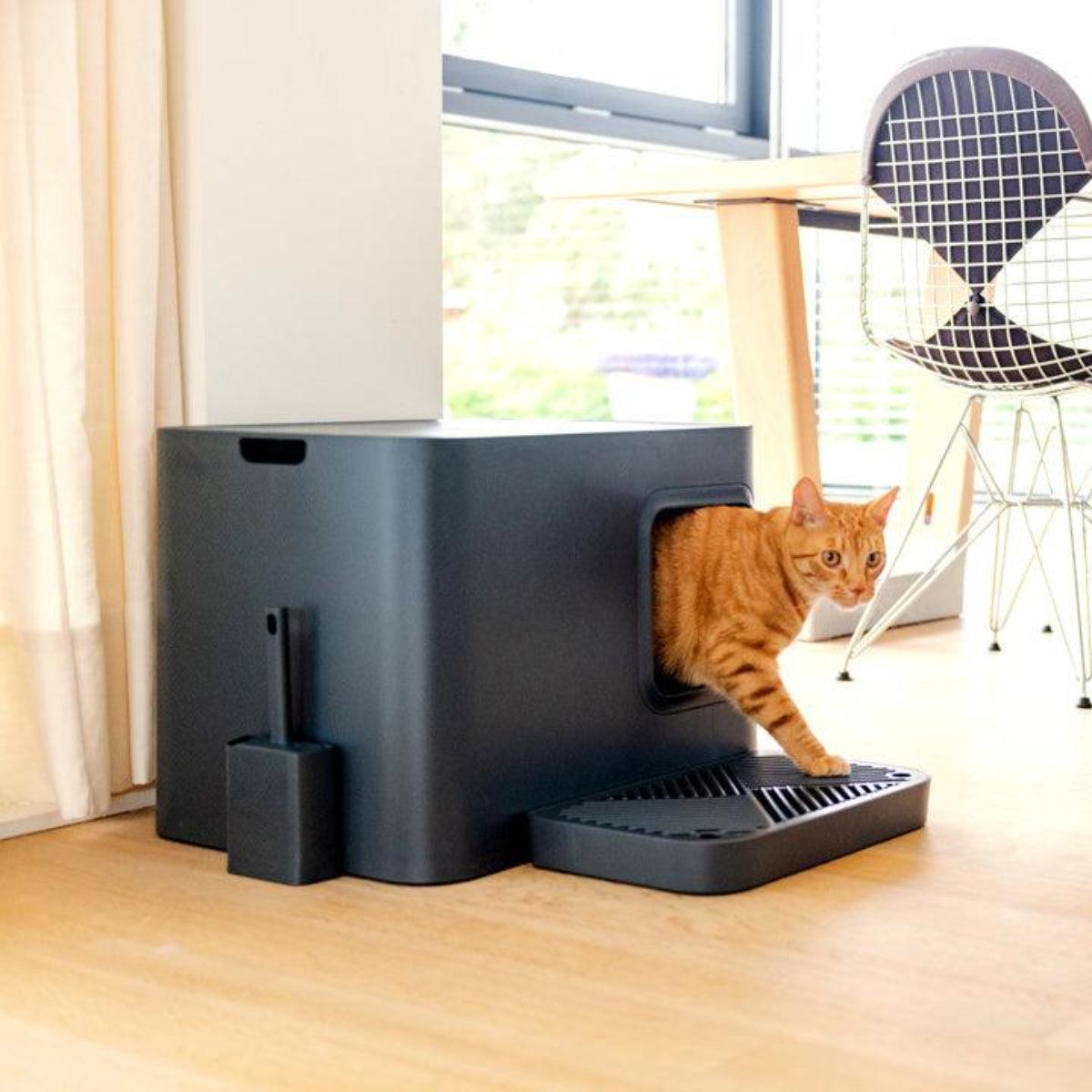 Litière Hoopo pour chat design - LE DOME - Kasibe