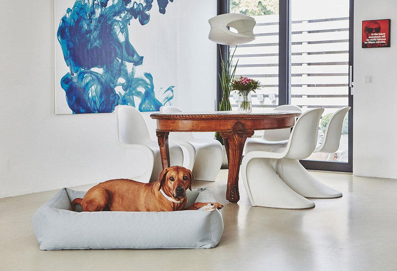 Lit box pour chien en tissu Sonno au design minimaliste - Kasibe