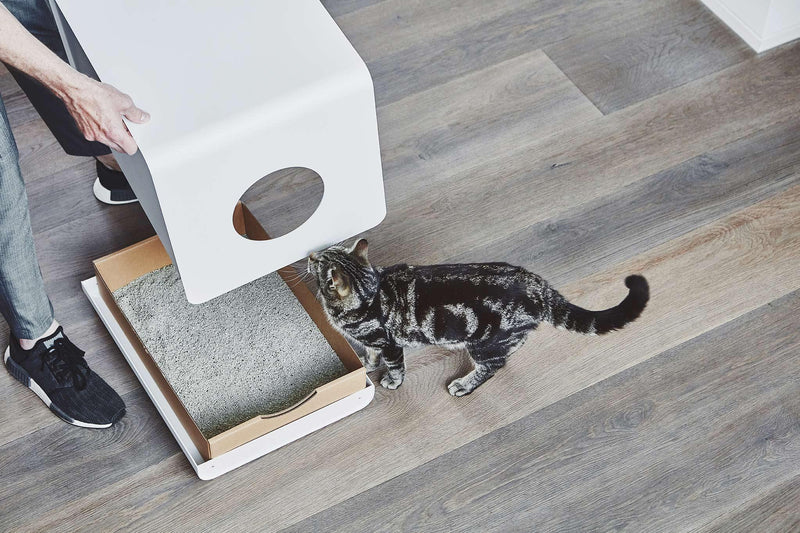 Litière pour chat design - Maison de toilette pour chat design 