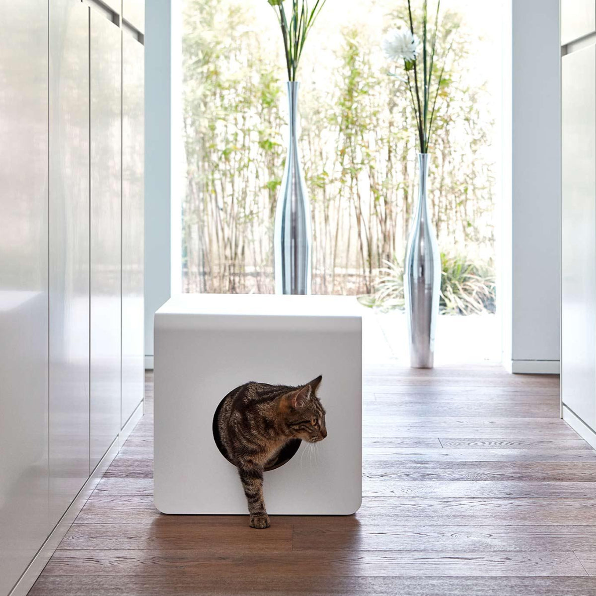 Litière pour chat design et moderne  kasibe