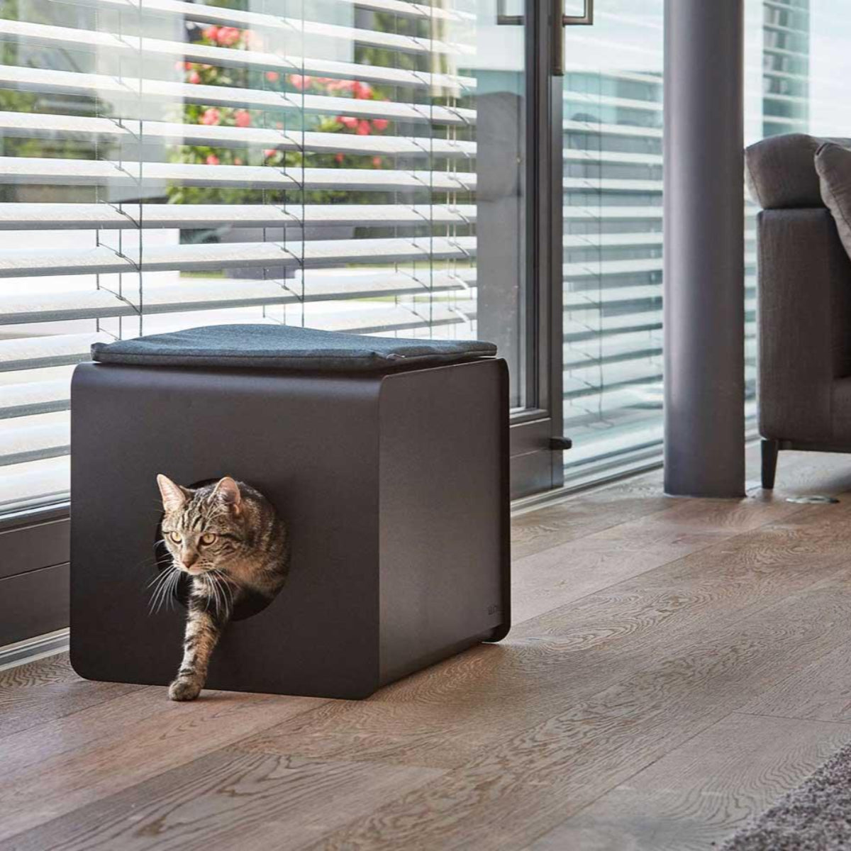 maison de toilette pour chat design - kasibe
