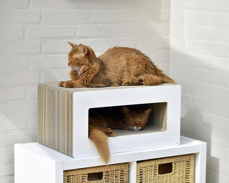 Griffoir pour chat déco : Le Loop, un meuble griffoir pour chat design blanc - kasibe