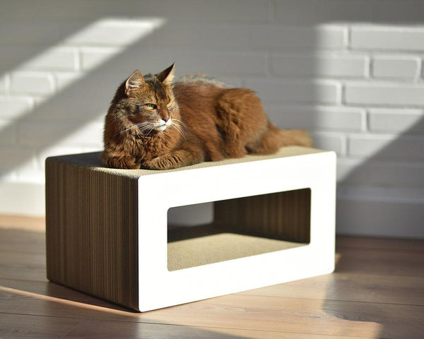 Griffoir pour chat déco : Le Loop, un meuble griffoir pour chat design blanc - kasibe