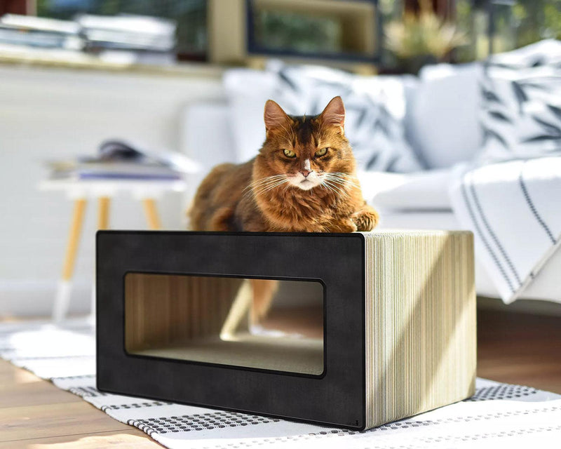 Griffoir pour chat déco : Le Loop, un meuble griffoir pour chat design noir - kasibe