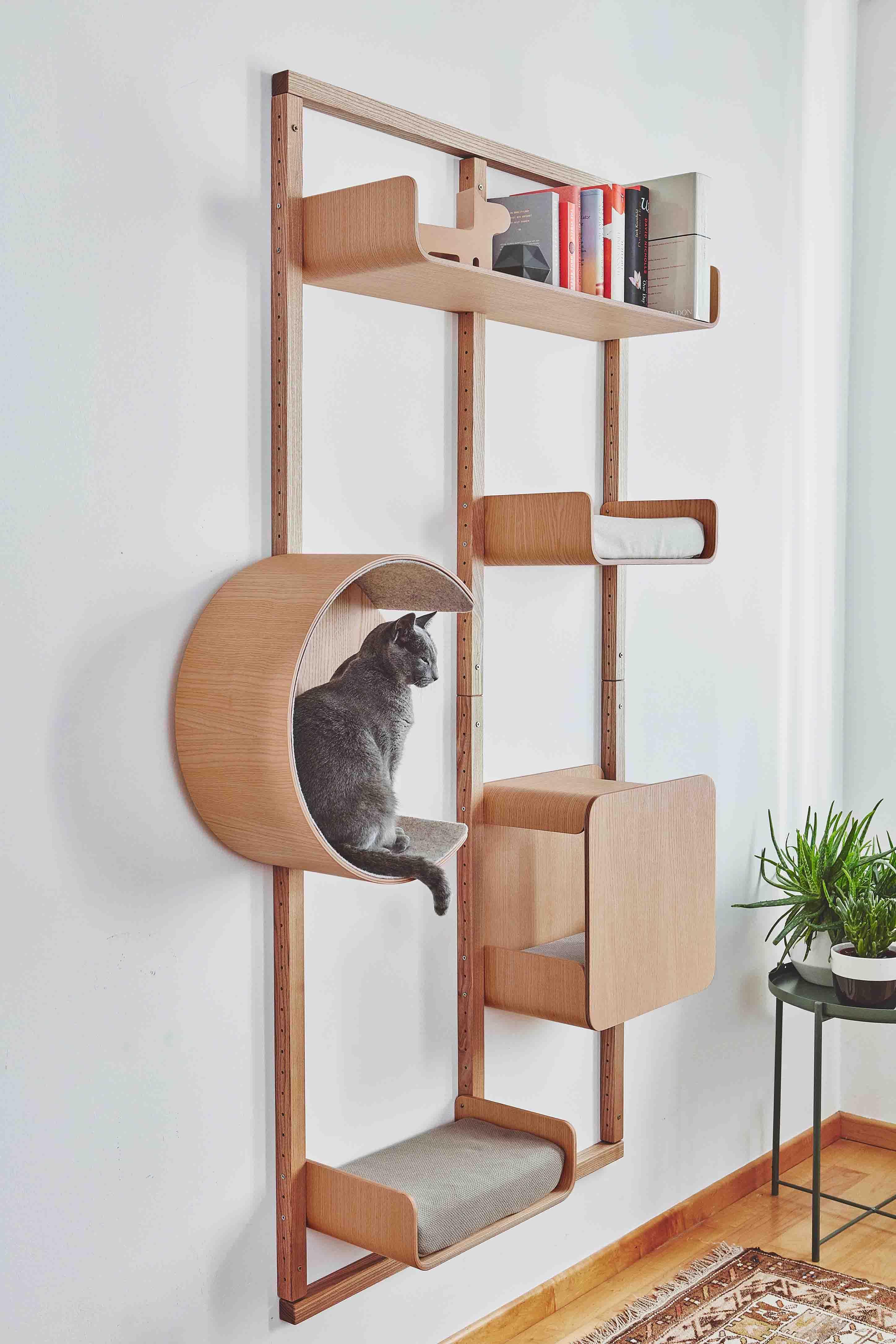 Mur d'escalade modulable pour chat - ALTO - Kasibe