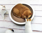 Un panier en carton pour chat et un griffoir : La Coupe Corbeille blanc- kasibe