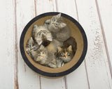 Un panier en carton pour chat et un griffoir : La Coupe Corbeille noir- kasibe