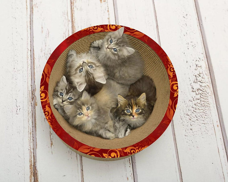 Un panier en carton pour chat et un griffoir : La Coupe Corbeille - kasibe