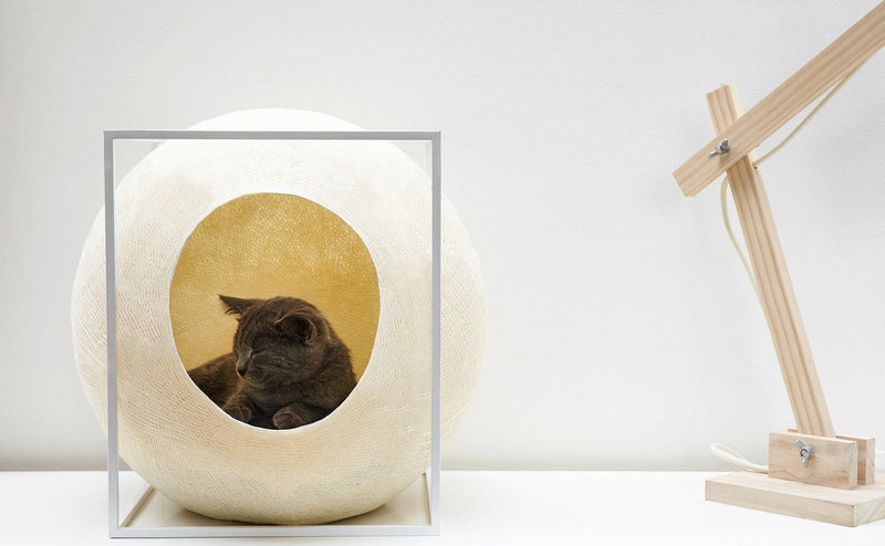 Panier pour chat design & graphique aux lignes pures : Le Cube  kasibe meyou