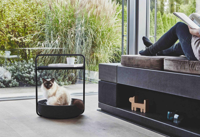 Panier pour chat écologique en polyester recyclé et meuble bas Tavolino kasibe miacara 