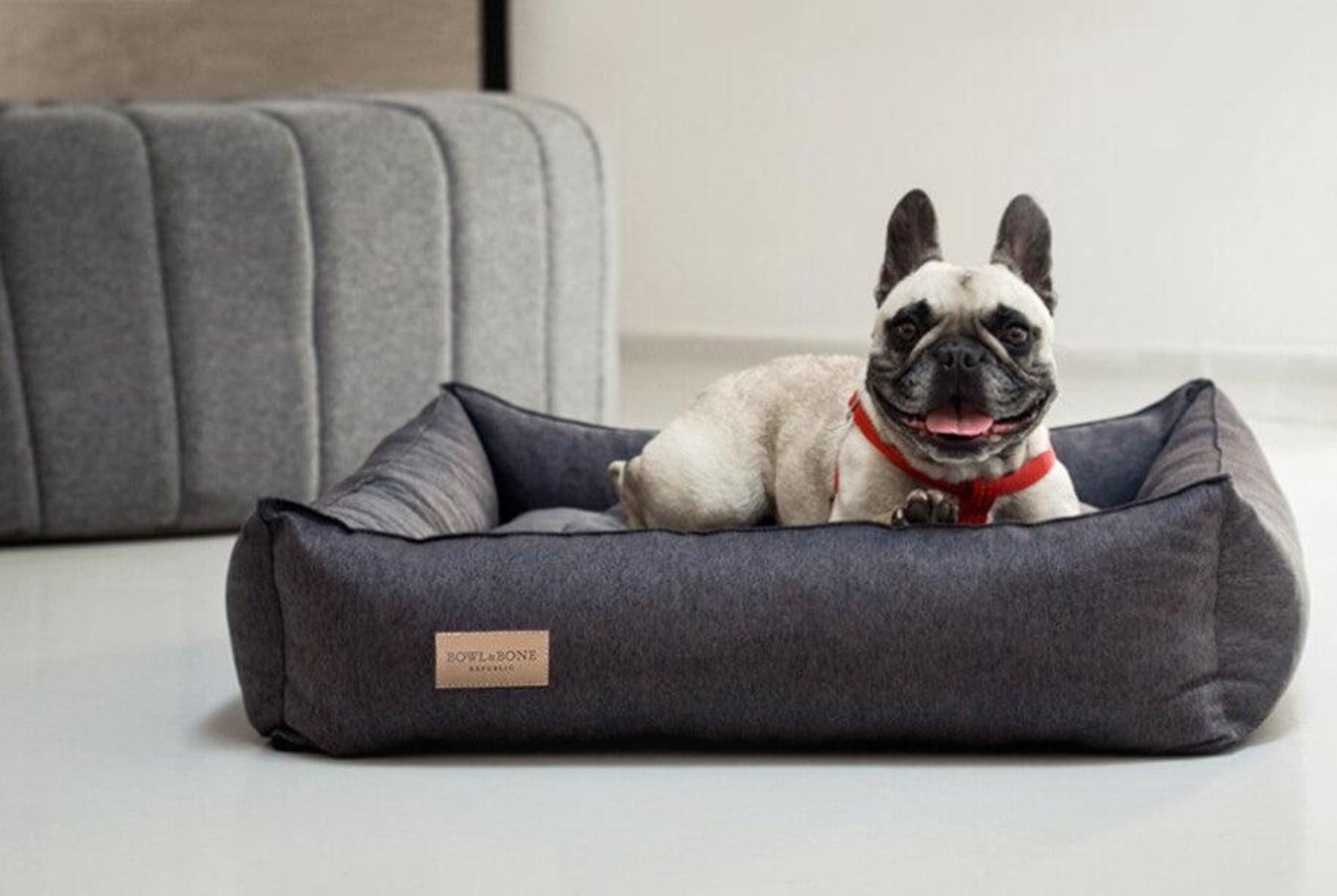 Panier chic pour chien - URBAN - Kasibe