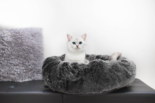 Panier élégant pour chat : Felpa, tout rond et en fausse fourrure kasibe miacara gris