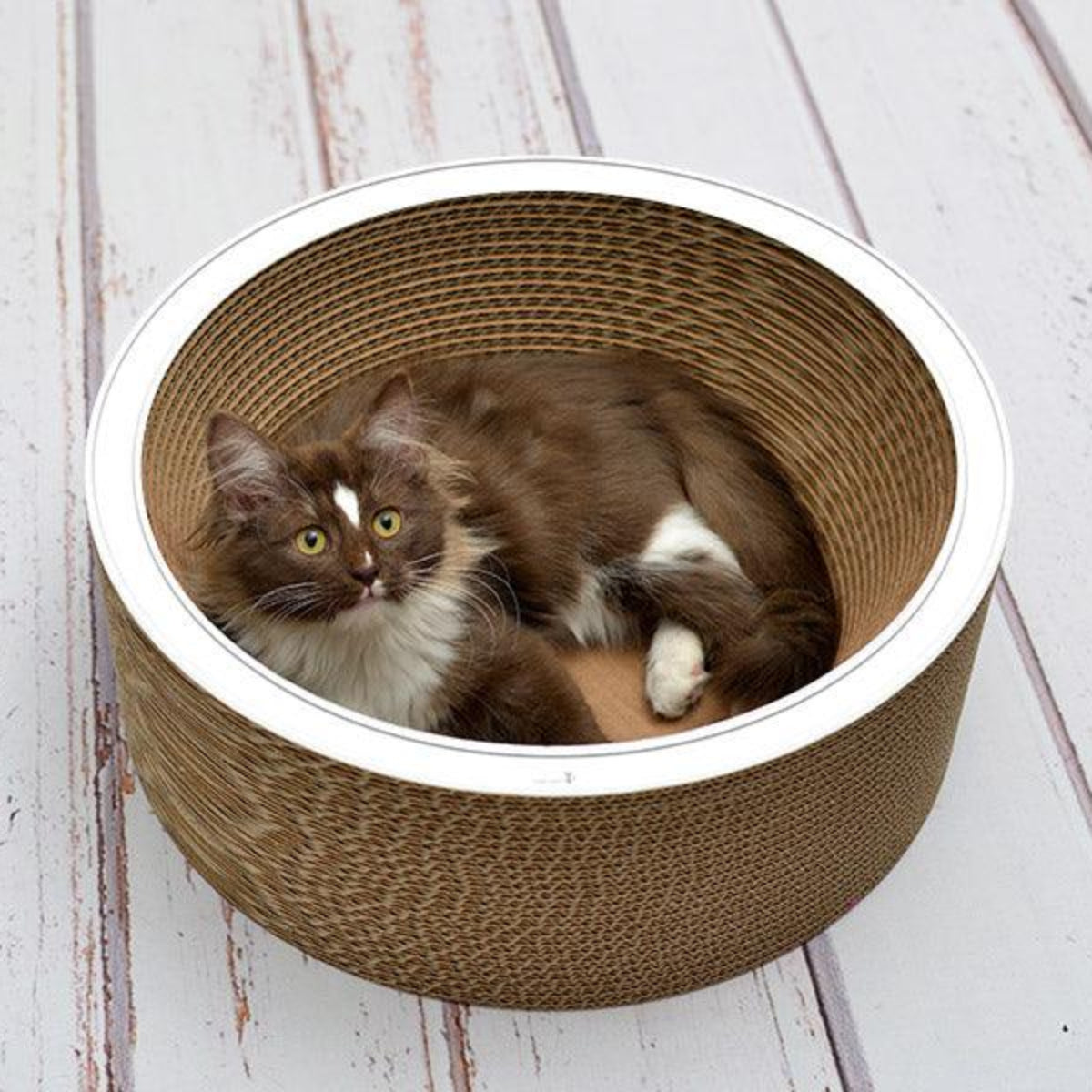 Panier en carton pour chat - COUPE CORBEILLE - Kasibe