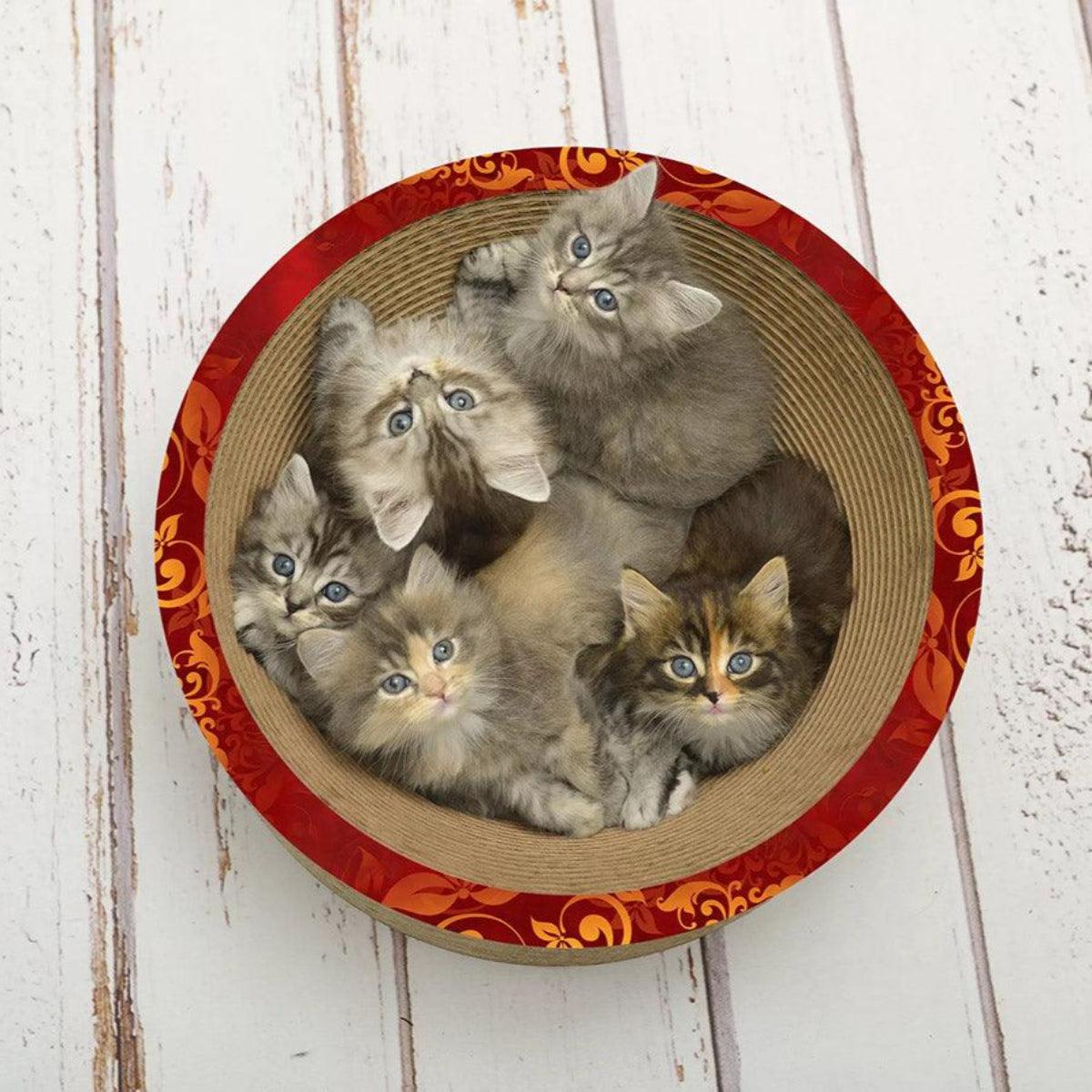 Panier en carton pour chat - COUPE CORBEILLE - Kasibe