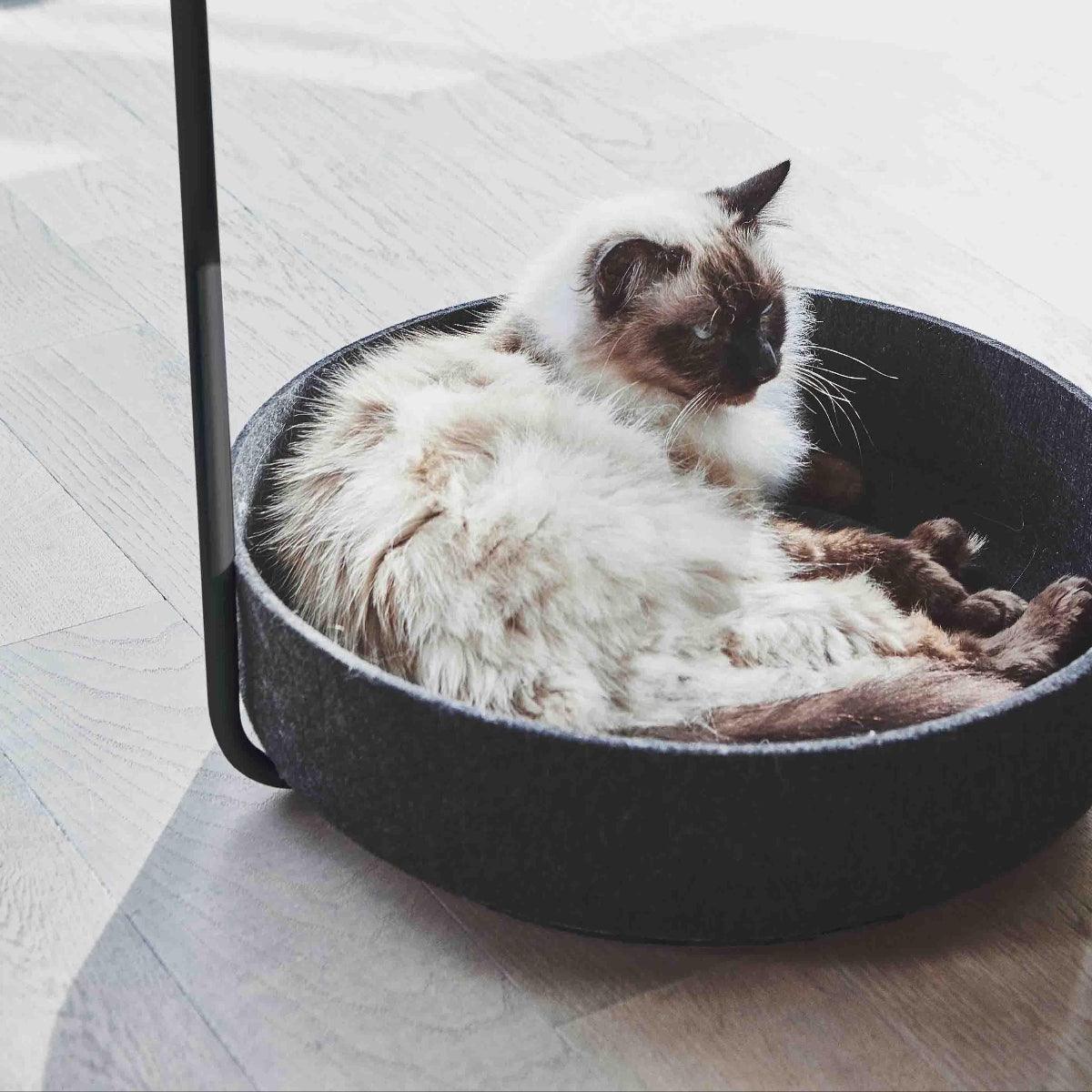 Panier pour chat écologique - TAVOLINO - Kasibe