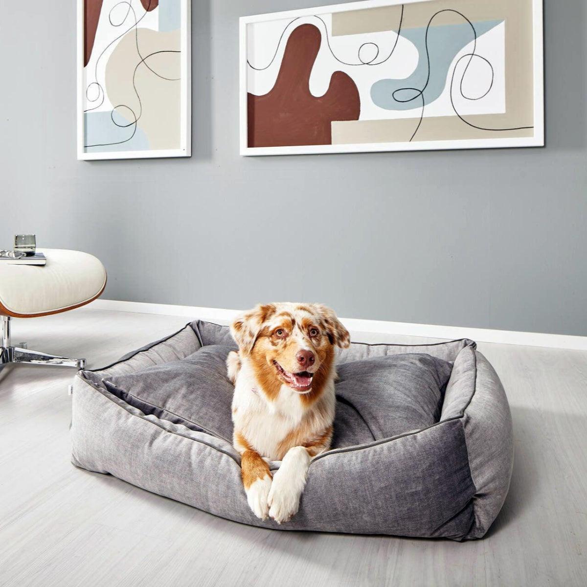 Panier pour chien design - GLAM - Kasibe