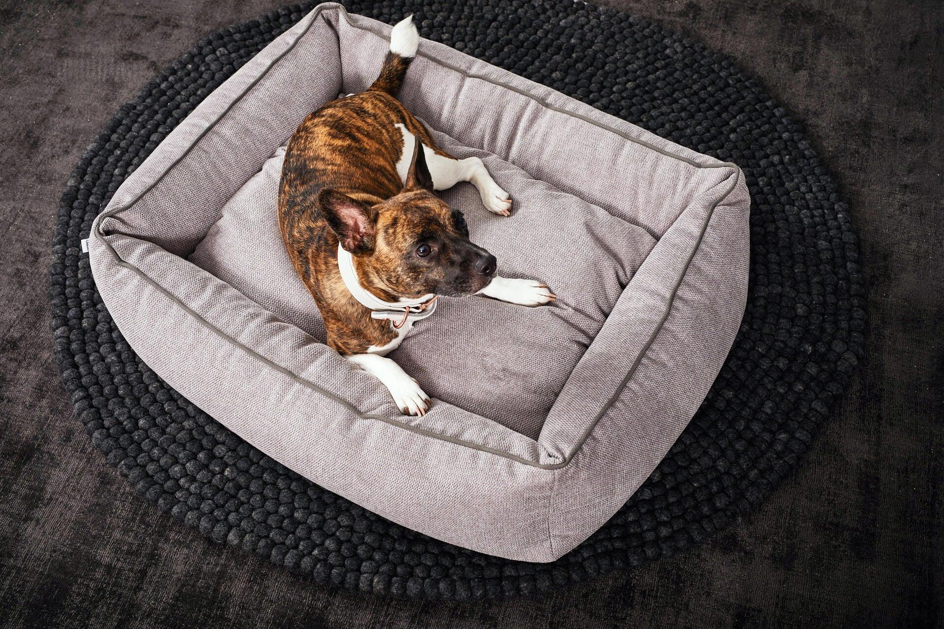 Panier pour chien écologique - ECO - Kasibe