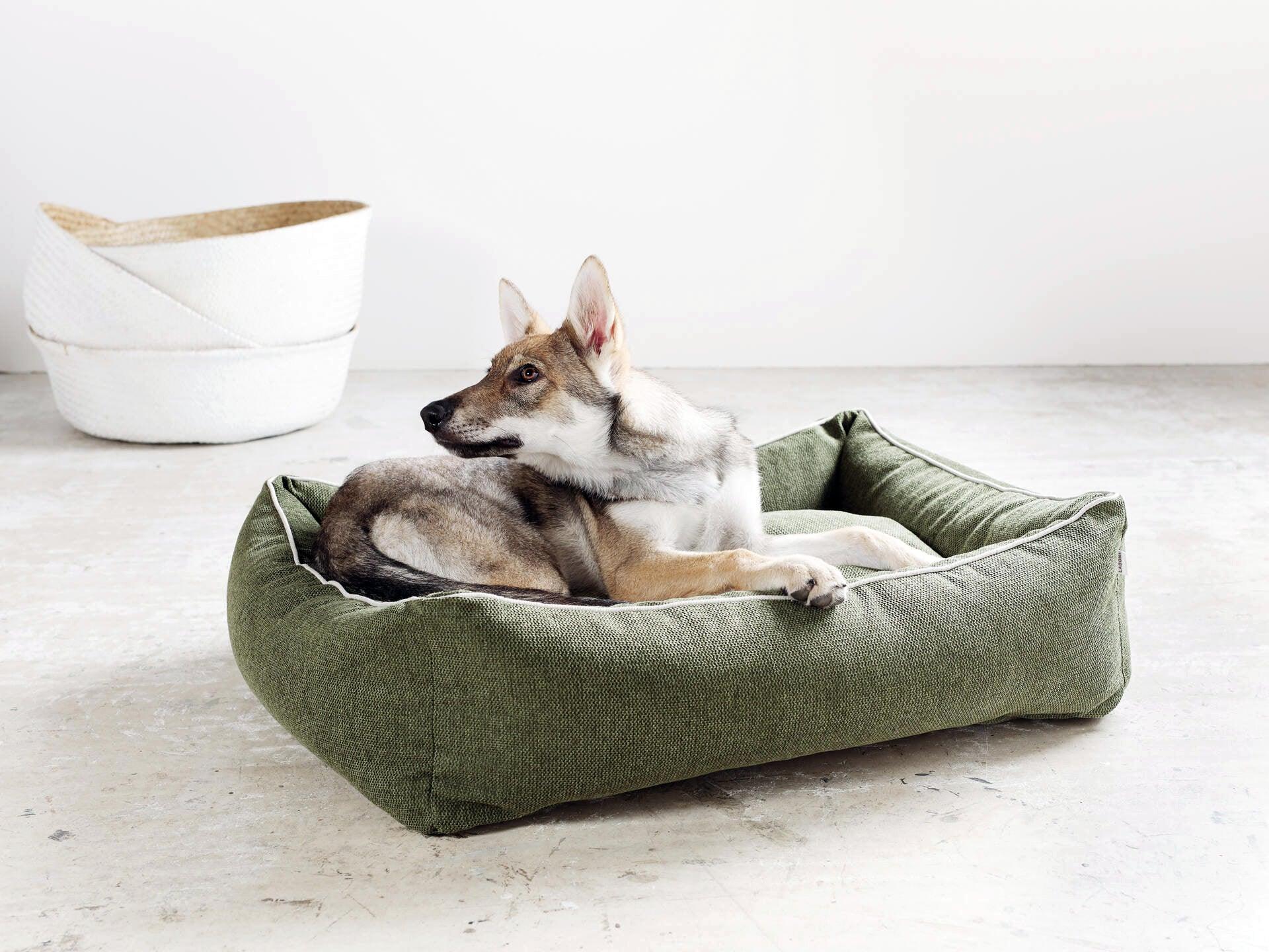 Panier pour chien écologique - ECO - Kasibe