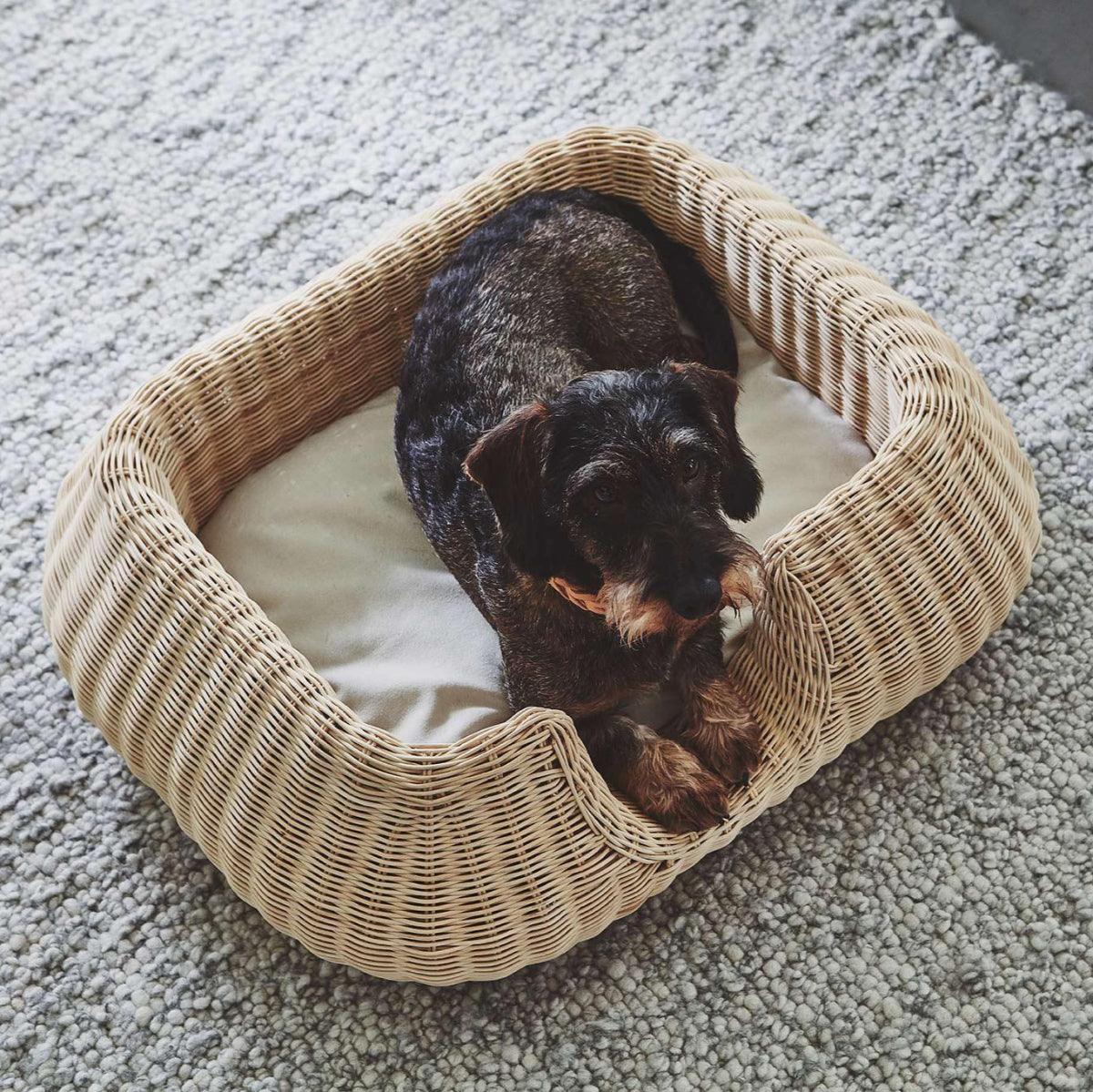 Panier pour chien en rotin - MIO - Kasibe