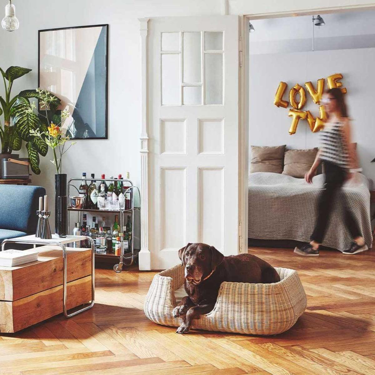 Panier pour chien en rotin - MIO - Kasibe