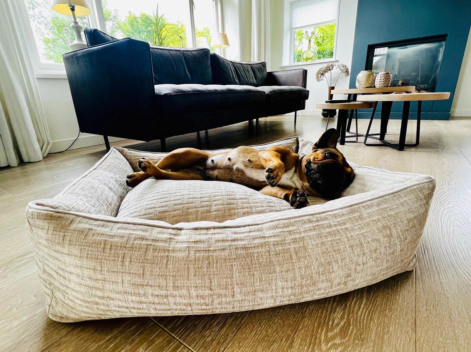 Panier pour chien résistant - NOVA - Kasibe