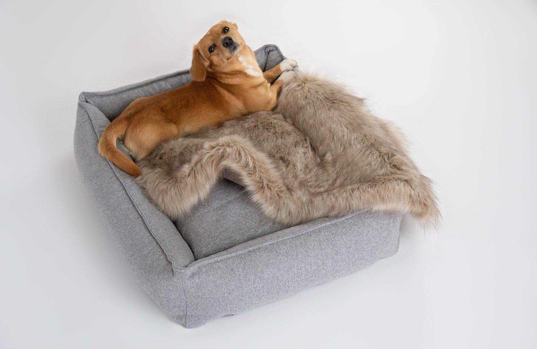 Panier rectangulaire confortable et spacieux pour chien Movik - kasibe