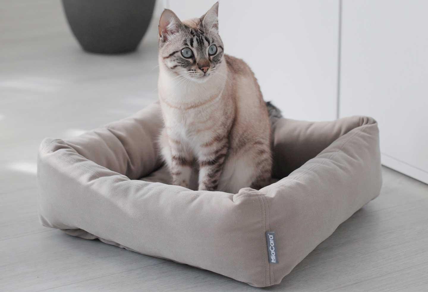 Panier pour chat UltraConfort – Au bonheur du chat - Boutique d'accessoires  pour votre chat et pour vous