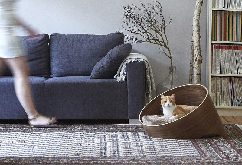 Panier pour chat design & décoratif : Covo, un panier en bois verni - kasibe