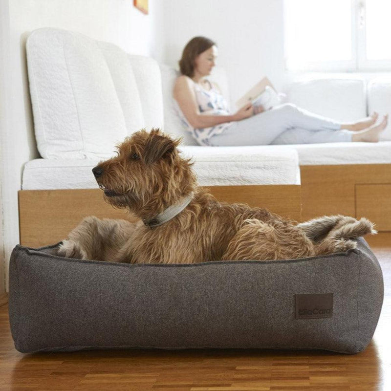 Panier pour chien classique en tissu résistant Nube kasibe miacara 