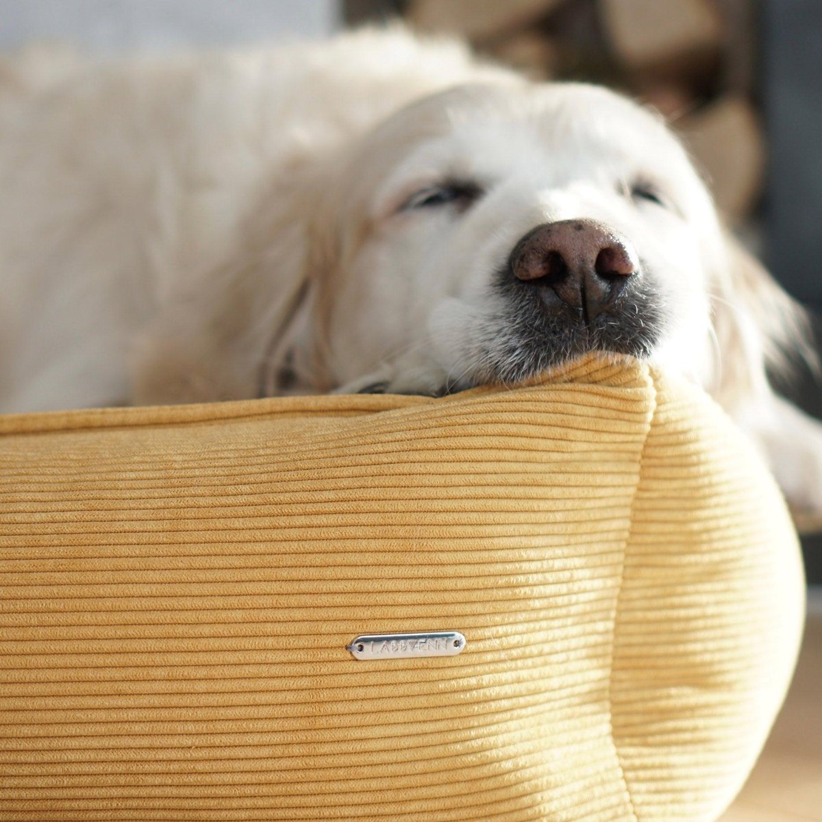 panier pour chien anti stress - kasibe