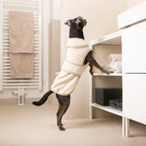 SPA pour chien, un joli peignoir avec ceintures en velcro très absorbant - kasibe