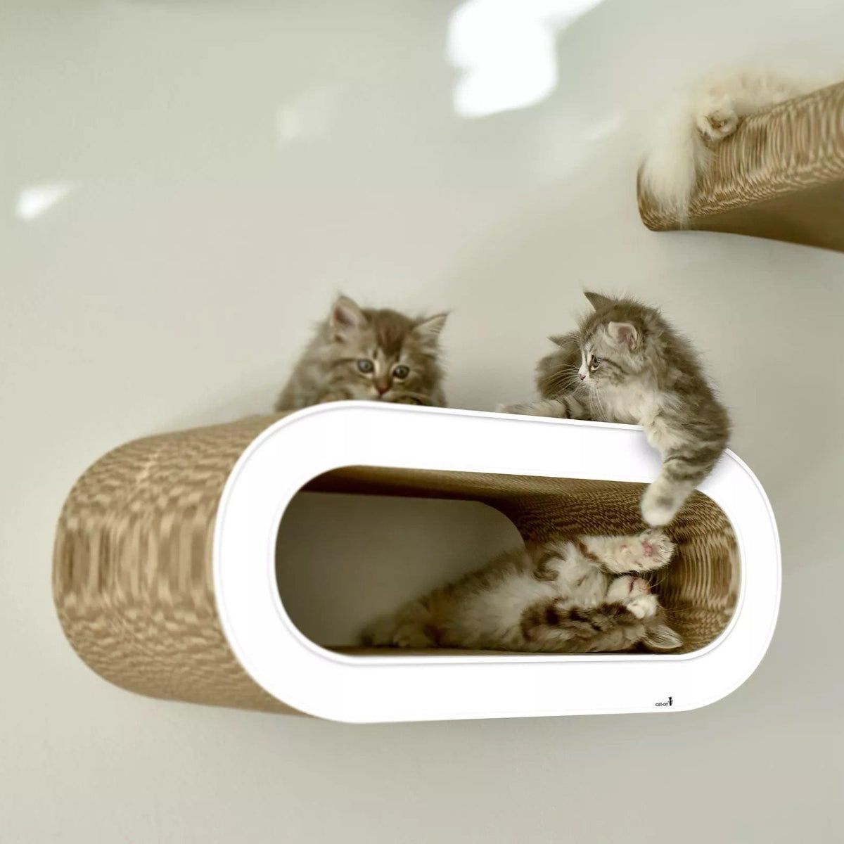 Perchoir pour chat : un set de 2 griffoirs muraux qui offrent une vue imprenable blanc - kasibe