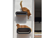 Perchoir pour chat : un set de 2 griffoirs muraux qui offrent une vue imprenable noir - kasibe