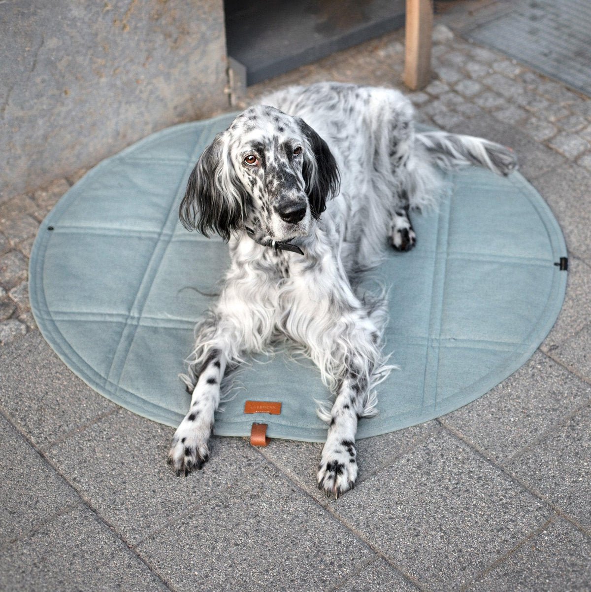 Plaid de voyage pour chien rond et moelleux Okka - Kasibe