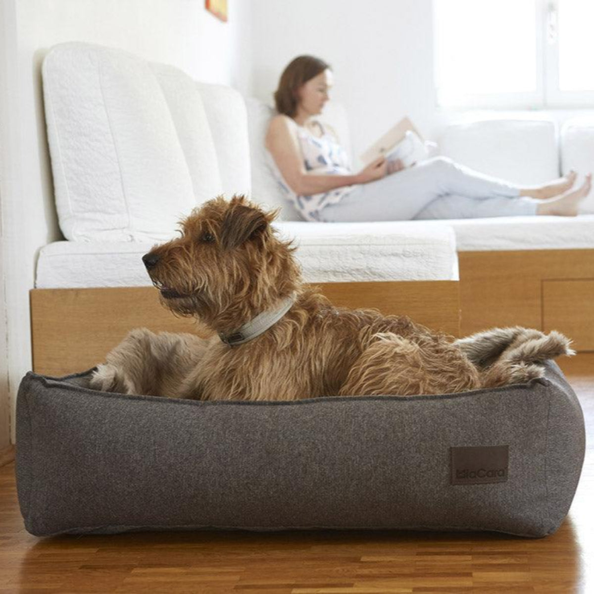 Une touche déco avec ce plaid en fourrure pour chien Lana - kasibe