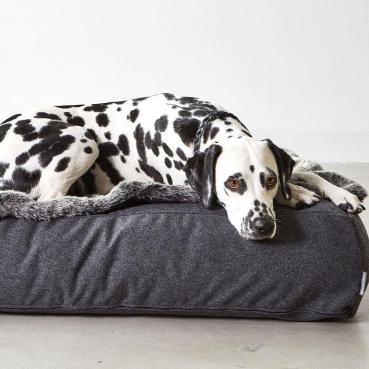 plaid doux pour chien en fausse fourrure - kasibe