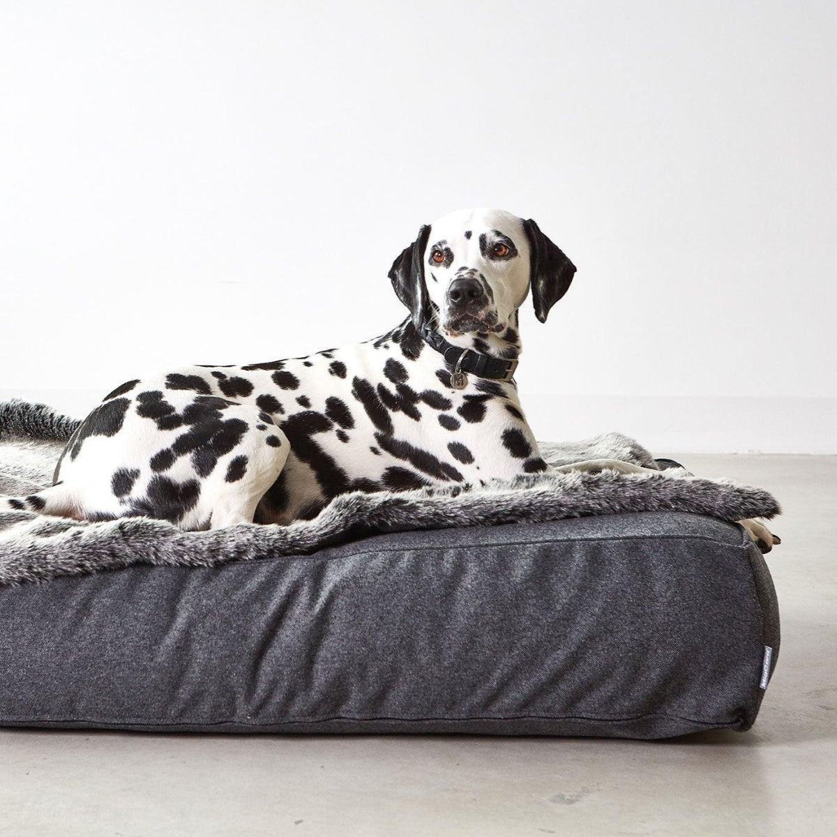 Couverture plaid tout doux pour chien en fourrure anthracite Felpa - kasibe