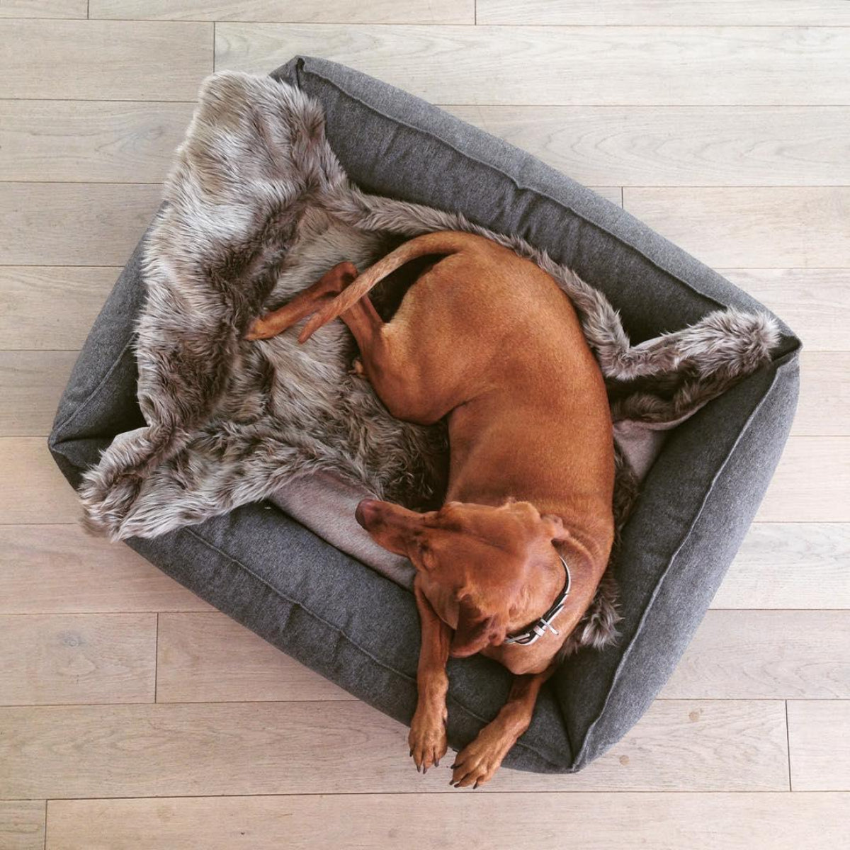 Plaid en fausse fourrure pour chien - LANA - kasibe