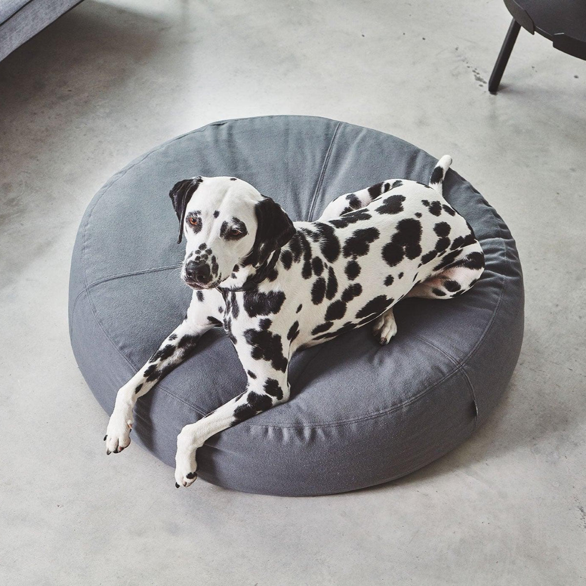 Pouf rond pour chien - STELLA - Kasibe