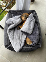 Une protection de canapé pour mon chien : la couverture Cozy - kasibe