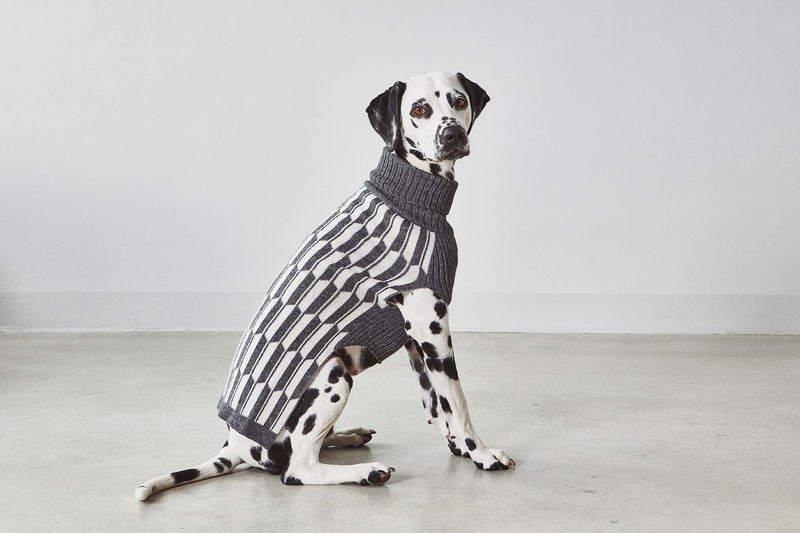 Pull chaud pour chien, un chandail léger aux motifs géométriques Giulia -kasibe