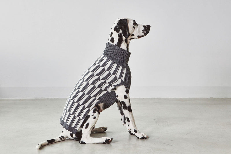 Pull chaud pour chien, un chandail léger aux motifs géométriques Giulia -kasibe
