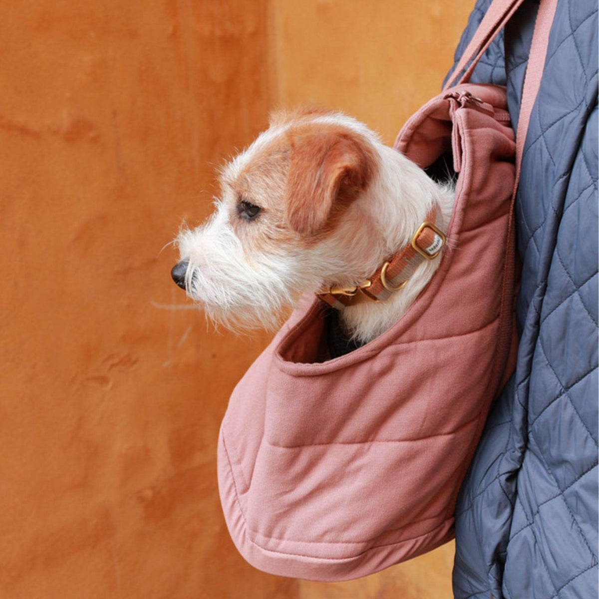 Sac à bandoulière pour chien - RIO - Kasibe