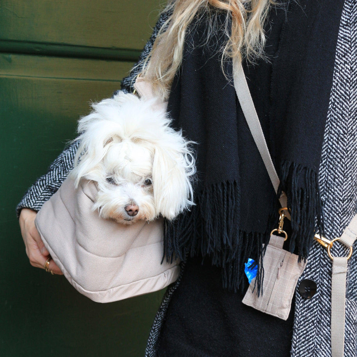 Sac à bandoulière pour chien - RIO - Kasibe