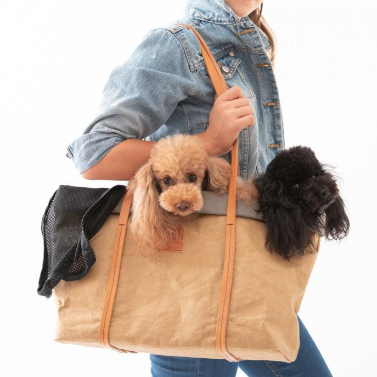 Sac de transport pour petit chien - ANNIE - Kasibe